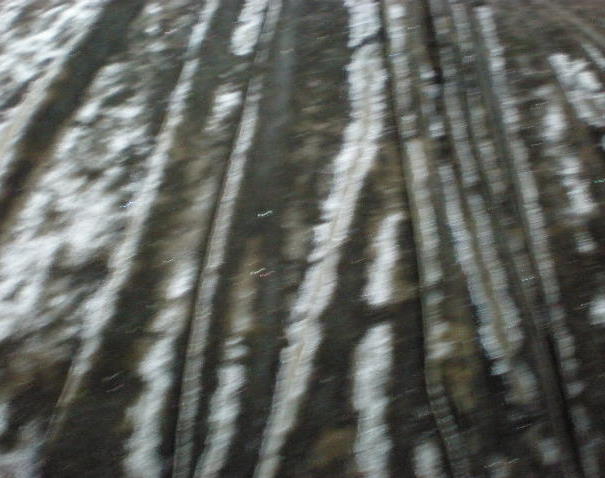 12. Black Crushed Velvet
